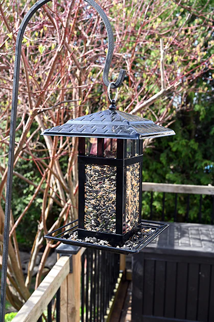 Modern Lantern Style Bird Feeder