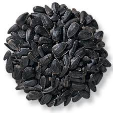 Premium Black Oil Sunflower 9lb Bag