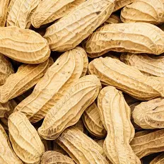 Peanuts In Shell 5lb Bag