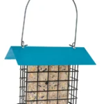 Sheltered Suet Cake Feeder