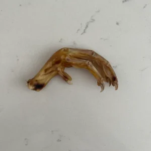 Dehydrated Chicken Feet